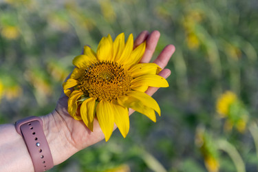 Similar image 22340342