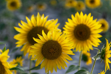 Similar image 22340343