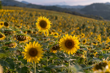 Similar image 22340345