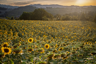 Similar image 22340347