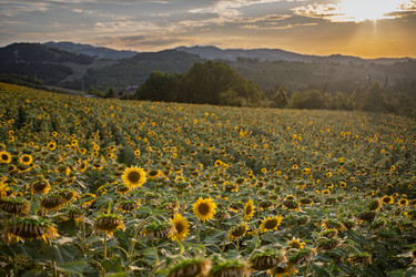 Similar image 22340348