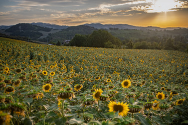 Similar image 22340349