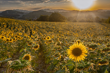 Similar image 22340351