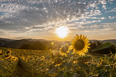 Similar image 22340352