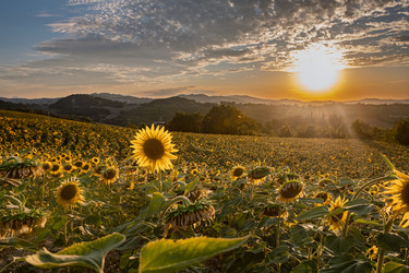 Similar image 22340354