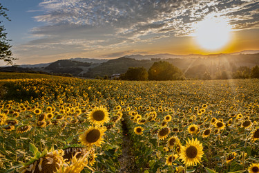 Similar image 22340355