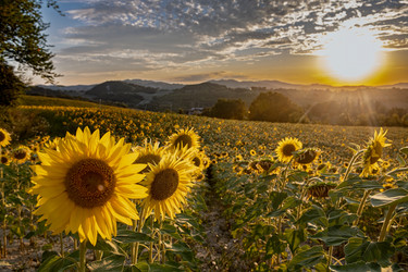 Similar image 22340356