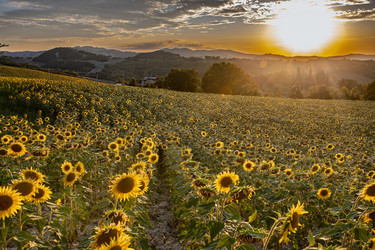 Similar image 22340357