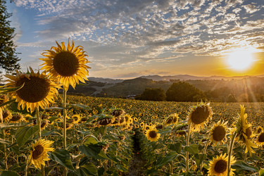 Similar image 22340402