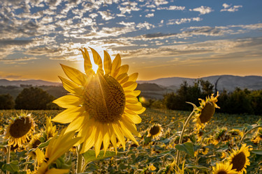 Similar image 22340403