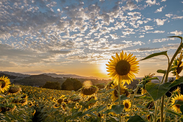 Similar image 22340404