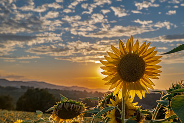 Similar image 22340405