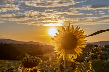 Similar image 22340406