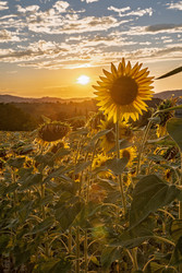 Similar image 22340407