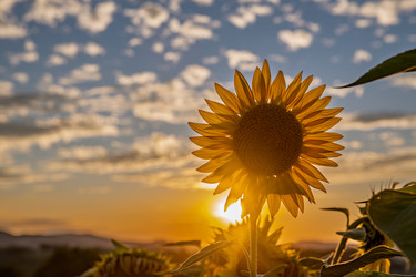 Similar image 22340408