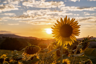 Similar image 22340410