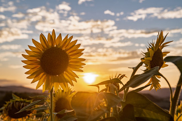 Similar image 22340411