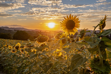 Similar image 22340412