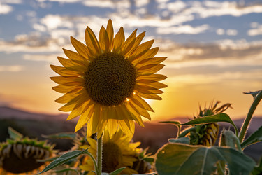 Similar image 22340414