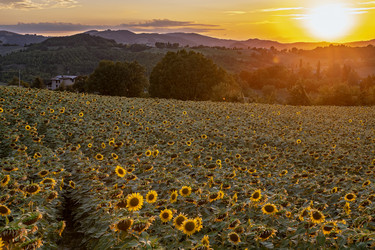 Similar image 22340415