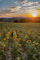 Similar image 22340296