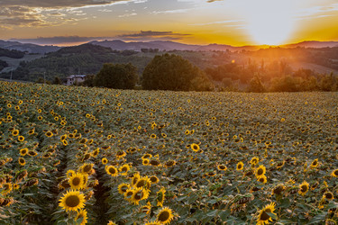 Similar image 22340297