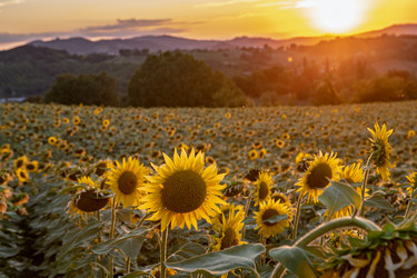 Similar image 22340298