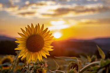 Similar image 22340300