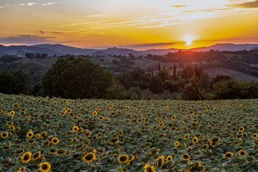 Similar image 22340301