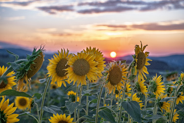 Similar image 22340302