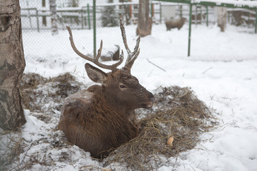 Similar image 22340275