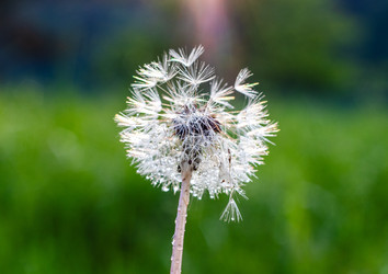 Similar image 22338248