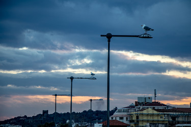 Similar image 22338251