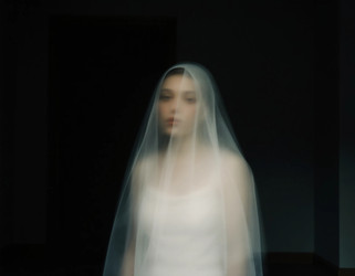 Similar image 22336509