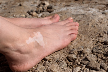 Similar image 22347449