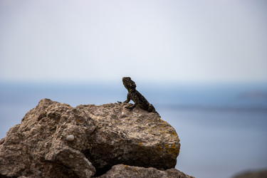 Similar image 22338257