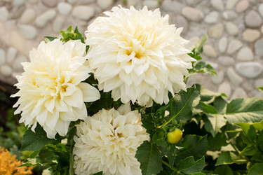 Similar image 22347451