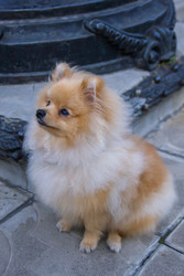 Similar image 22340277