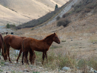 Similar image 22340999