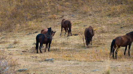 Similar image 22341003