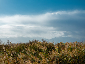 Similar image 22340548