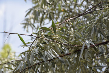 Similar image 22347890