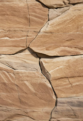 Similar image 22337062