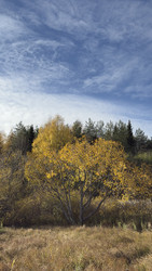 Similar image 22340256