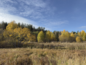 Similar image 22340257