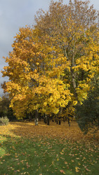 Similar image 22340258