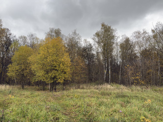 Similar image 22340261