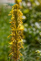 Similar image 22347338