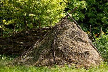 Similar image 22347339