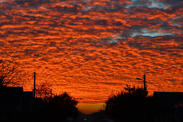 Similar image 22333207